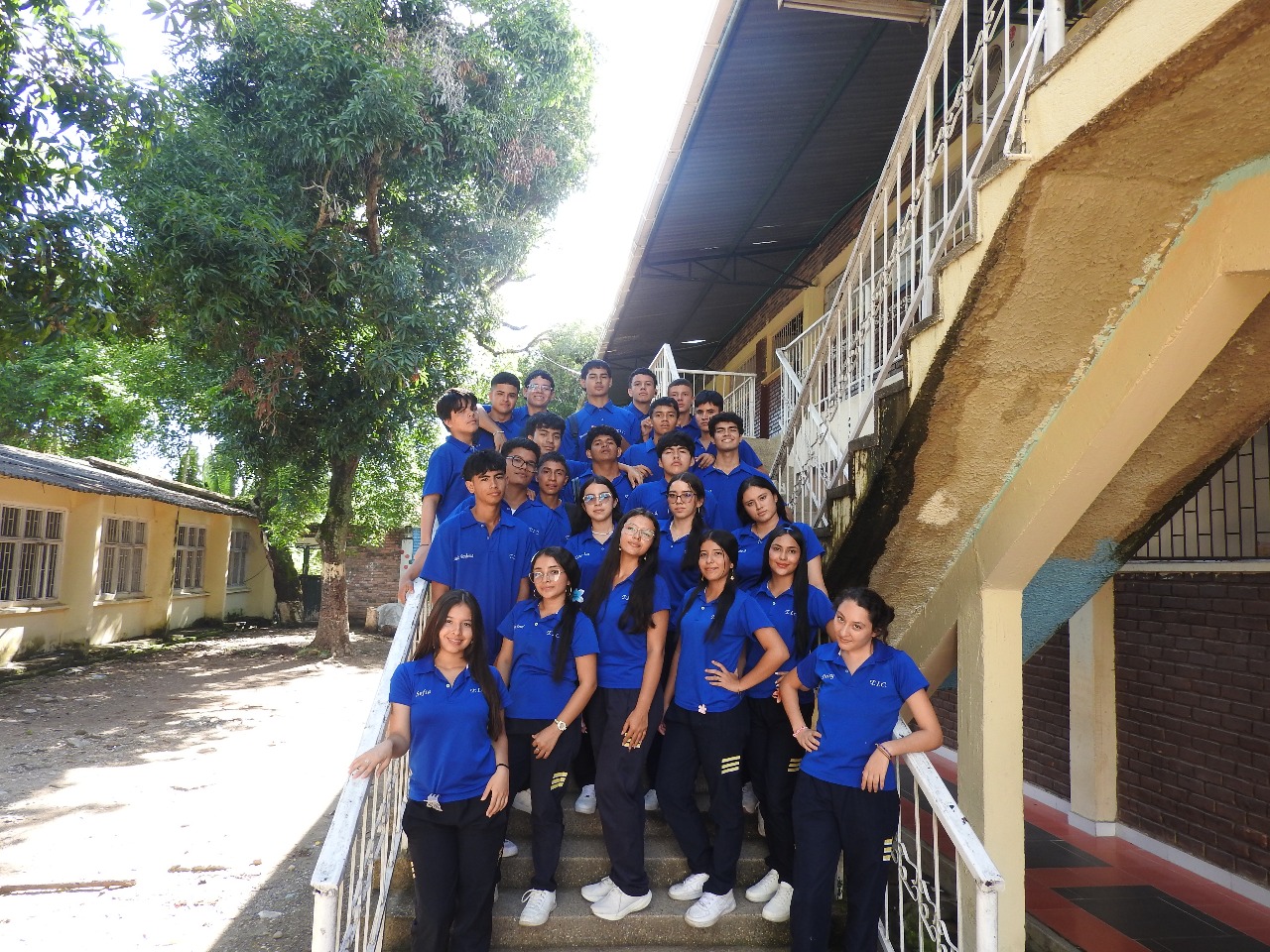 TIC 11
